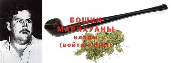 прущие грибы Абаза